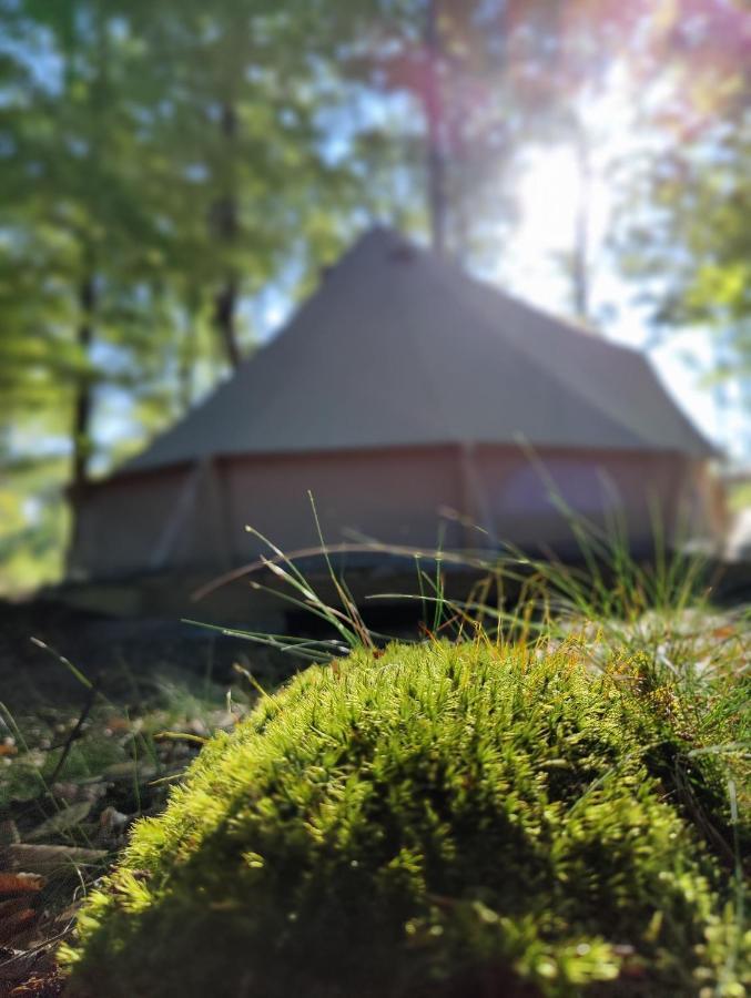 Naturglamping Kristianstad Eksteriør bilde